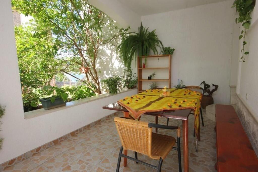 Apartments Zoki - Great Location Close To The Sea Vis Eksteriør billede