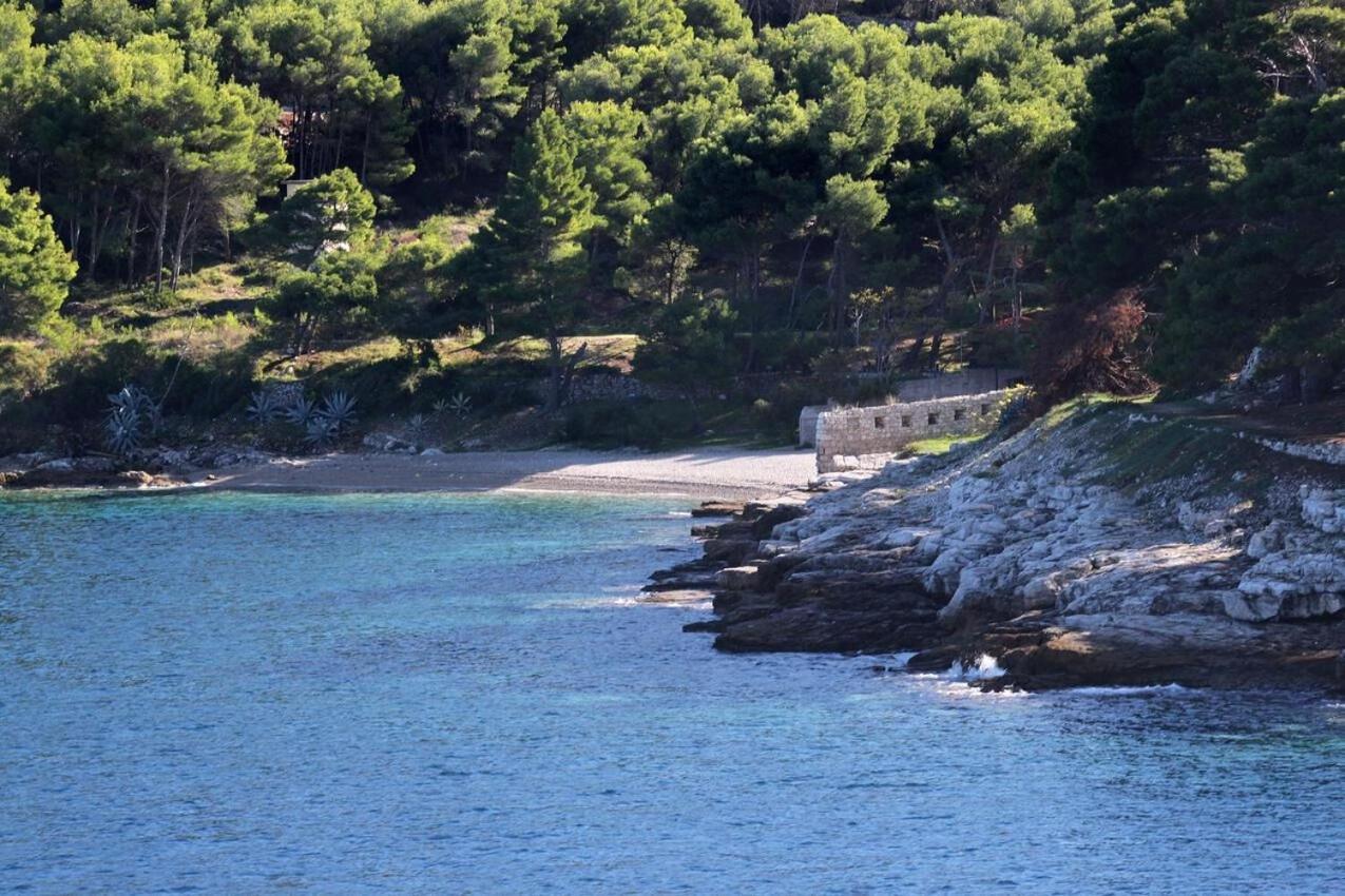Apartments Zoki - Great Location Close To The Sea Vis Eksteriør billede